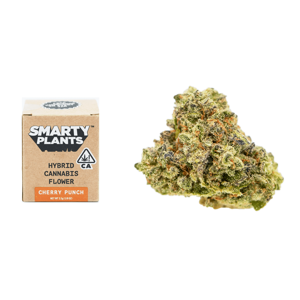 cherry punch 3.5g indoor cannabis smarty plants brand from humble root