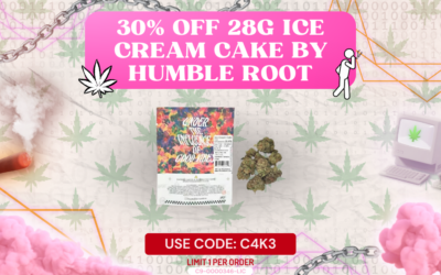 30% off 28g Ice Cream Cake by Humble Root